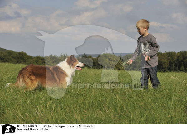 Junge und Border Collie / boy and Border Collie / SST-06740