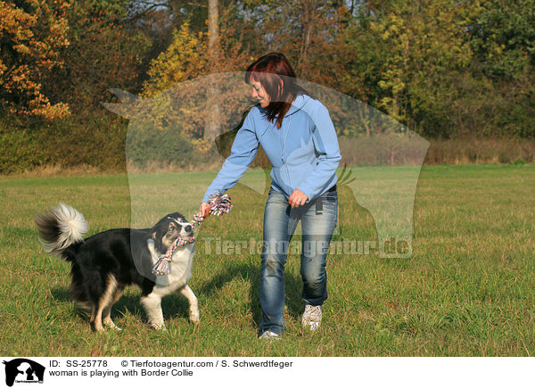 woman is playing with Border Collie / SS-25778