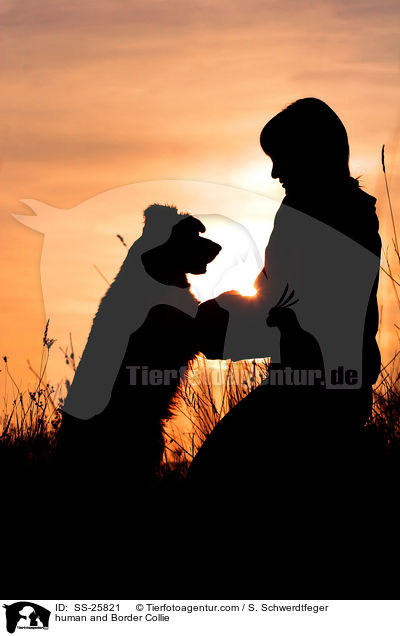 Mensch und Border Collie / human and Border Collie / SS-25821