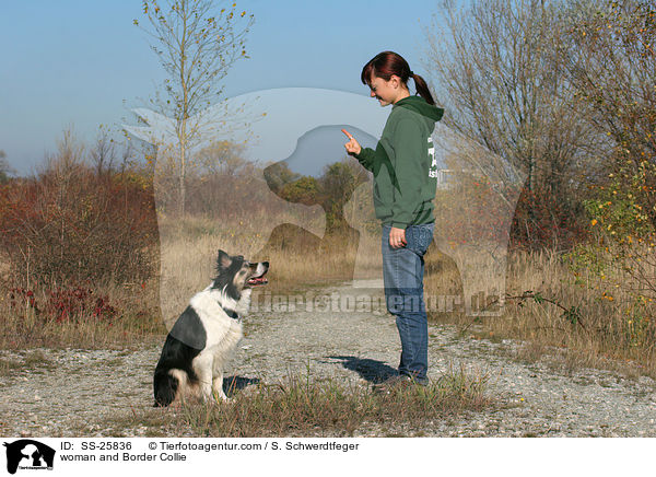woman and Border Collie / SS-25836