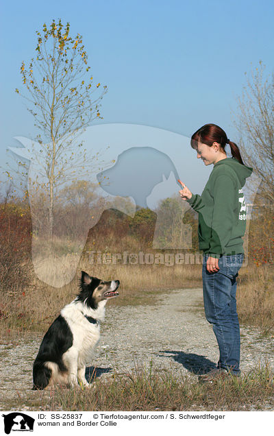 woman and Border Collie / SS-25837