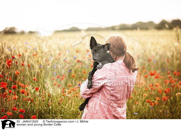 Frau und junger Border Collie / woman and young Border Collie / JAM-01820