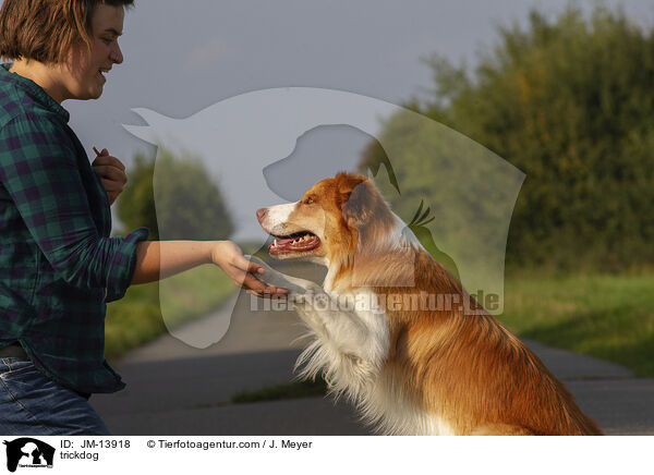 trickdog / JM-13918