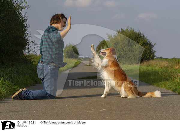 trickdog / JM-13921