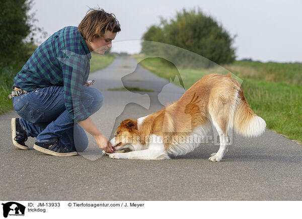 trickdog / JM-13933