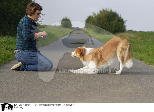 trickdog / JM-13934