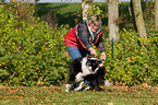 playing with Border Collie