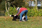playing with Border Collie