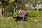 playing with Border Collie