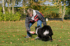 playing with Border Collie