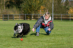 playing with Border Collie