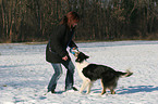 playing with dog