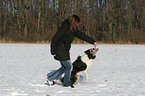 playing with dog