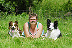 lying Border Collie