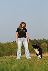Border Collie shows dog dance