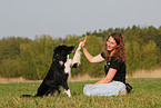 Border Collie shows trick