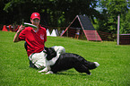 playing Border Collie