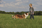 boy and Border Collie