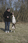 Border Collie shows trick