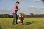 woman with Border Collie