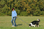 woman and Border Collie