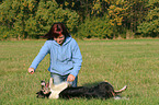 Border Collie shows trick