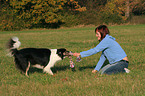 woman is playing with Border Collie