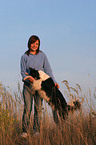 Border Collie shows trick