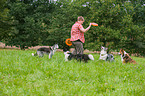 woman with Border Collies
