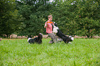 woman with Border Collies