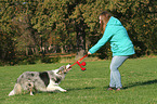 woman and Border Collie are playing