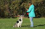 woman and Border Collie