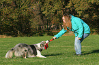 woman and Border Collie are playing