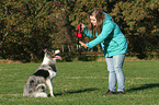 woman and Border Collie