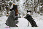 old Border Collie