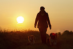 woman and dogs