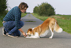 trickdog