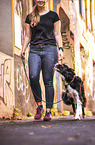 male Border Collie