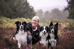 3 Border Collies