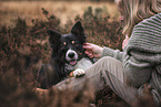 male Border Collie