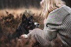 male Border Collie