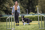male Border Collie