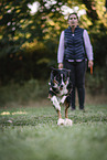 male Border Collie