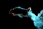 jumping Border Collie