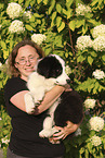 Border Collie puppy