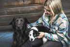 Border Collies
