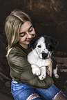 Border Collie Puppy