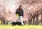 female Border Collie