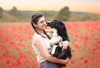 female Border Collie