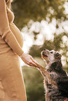 pregnant woman and Border Terrier